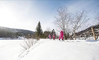 Topcamp Hallingdal - Ål