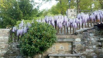 Agriturismo Le Giare - Country House