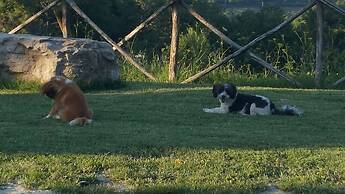 Agriturismo Le Giare - Country House