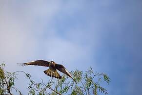 El Tránsito Hotel Boutique