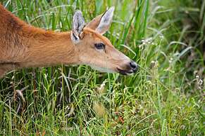 El Tránsito Hotel Boutique