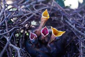 El Tránsito Hotel Boutique