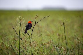 El Tránsito Hotel Boutique