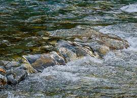 Wonderland Makarora Lodge