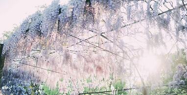 Hotel Rural Quinta da Vista Alegre