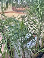 Riad Zouhour
