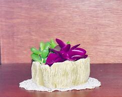 Kingston Guest Apartment At Dumbarton