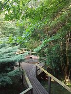 Centro Campestre Mavidahue