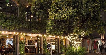 Casa Itzae B&B Polanquito Dog Friendly