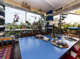 Casa Itzae B&B Polanquito Dog Friendly