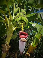 Belka Golf Residence