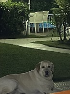 Belka Golf Residence