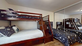 Chateau de Montagne 6 Pet-Friendly and Remodeled, On Shuttle Route by 