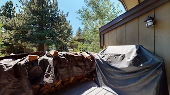 Chateau de Montagne 6 Pet-Friendly and Remodeled, On Shuttle Route by 