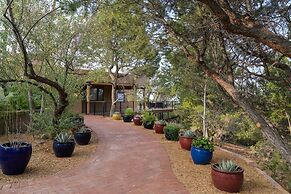 Casa Ladera - Enchanting Home, Nestled in Foothills With Spectacular V