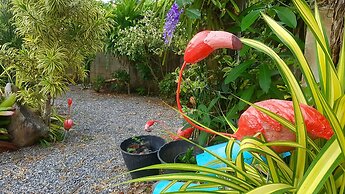 Ingpha Room for rent