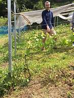 Kumano Kodo Winery Guest House