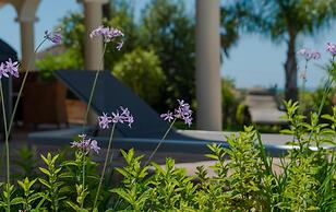 Villa Near Beach In Marbella