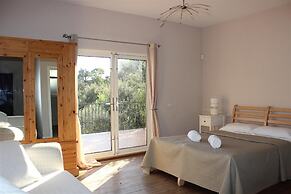 Luxury Villa Near Marbella