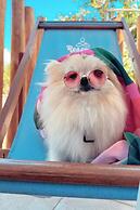 Smart Hotel Reserva Ilhabela