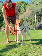 Smart Hotel Reserva Ilhabela