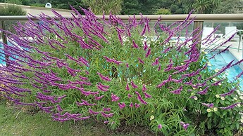 Chacras de Sierra Hotel & Spa
