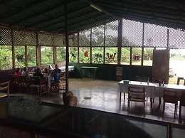 Cabinas Piuri - Campsite