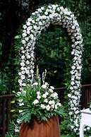 Ubud Hills Villas & Resort