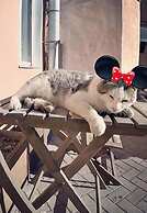 Boutique Hotel Leningrad