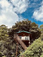 The Cocoon Camps & Nature Resorts