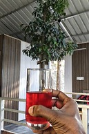 The Cocoon Camps & Nature Resorts