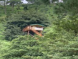 The Cocoon Camps & Nature Resorts
