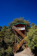 The Cocoon Camps & Nature Resorts