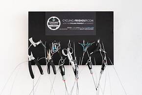 Salamandra Altea 17 By Vero