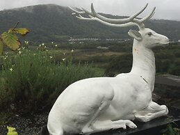 Plas Maenan Country House