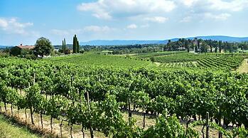 Castello di Ahrensperg