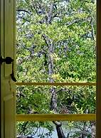 Playa del Ritmo Beach Hostel & Bar