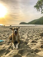 Playa del Ritmo Beach Hostel & Bar