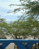 Playa del Ritmo Beach Hostel & Bar