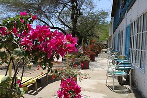 Playa del Ritmo Beach Hostel & Bar