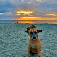 Playa del Ritmo Beach Hostel & Bar