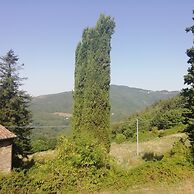 Fattoria di Cintoia