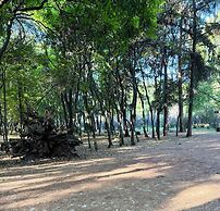 Colonial Villa Coyoacan