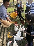 Tokwan's Agro Village