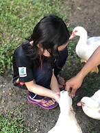 Tokwan's Agro Village