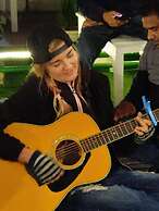 A sleepy Fox - Hostel