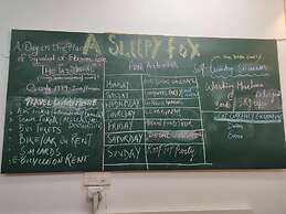 A sleepy Fox - Hostel