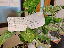 A sleepy Fox - Hostel