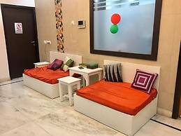 A sleepy Fox - Hostel