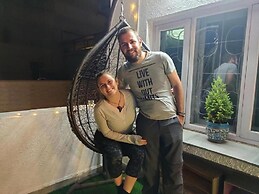 A sleepy Fox - Hostel